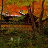 2012年紅葉情景（老欅荘着飾るⅠ）