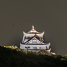 金華山の山頂の岐阜城