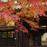 補完ノ補間 拾参