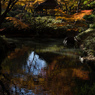 紅葉の六義園にて②