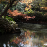 紅葉の六義園にて④