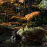 紅葉の六義園にて⑨