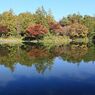 昭和記念公園