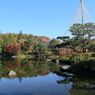 昭和記念公園