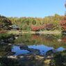 昭和記念公園