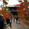 紅葉シーズン。