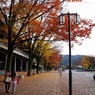 京都での何気ない1枚。