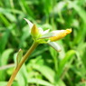 2012 7 31 014