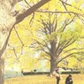 黄色の中で