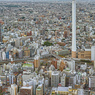 東京雑景