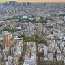 東京雑景
