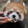 多摩動物公園