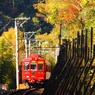 貴志川線秋景色（１）