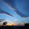 冬の多摩川