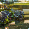 京都銀閣寺-2