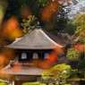 京都銀閣寺-4