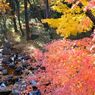 DSCF0055