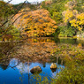京都竜安寺-6