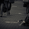 Kichijoji at Night #54