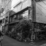月島界隈