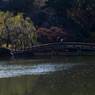 2012年12月16日_新宿御苑