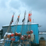 _MG_2749a