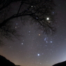 小粒の流星