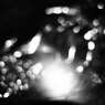cellophane1