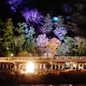 京都嵐山