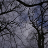useing@