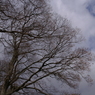 useing@