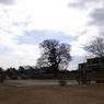 useing@