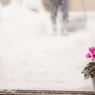 雪が好き？嫌い？