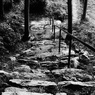 小高い場所