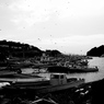 漁港～篠島～