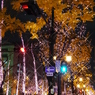 夜の御堂筋