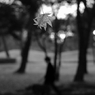 noise