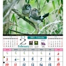 2月