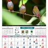 5月