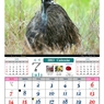 7月