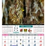8月
