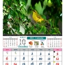 10月