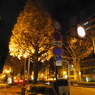 夜のさんぽ