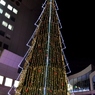新梅田シティ巨大クリスマスツリー