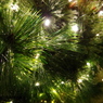Christmas day