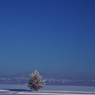 Merry Christmas from a moon