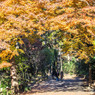 紅葉の凱旋門が二人を待ってるよ