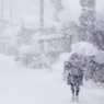大雪の日に