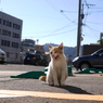 おいしかったにゃ～！