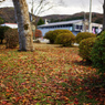 DSC00084